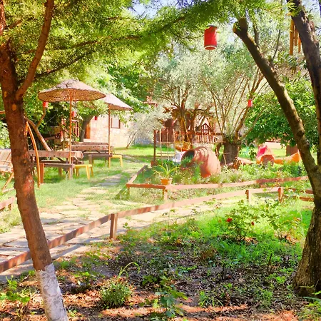 Hotel Pavel'in Yeri Butik Altınoluk